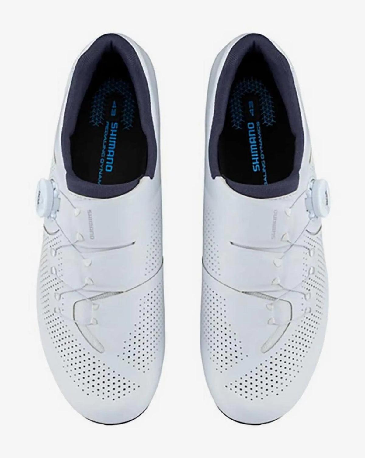 Scarpe Shimano SH-RC302